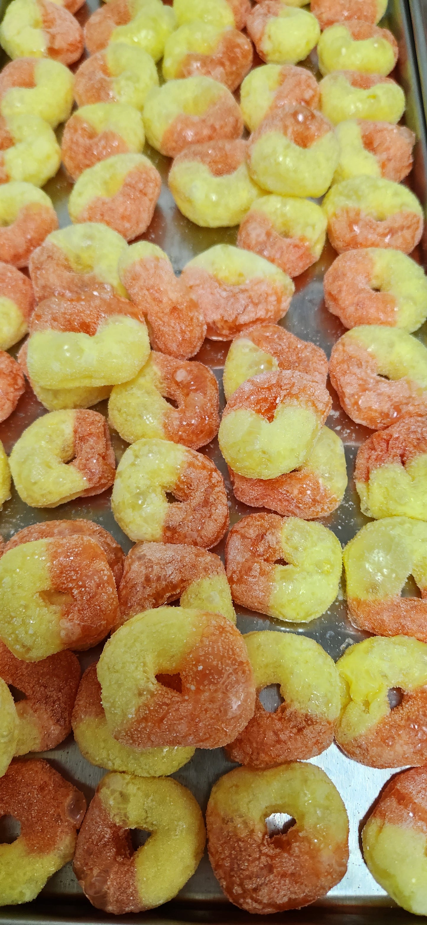 Freeze Dried Gummy Peach Rings coming out of the Freeze Dryer. Ready for snacking!