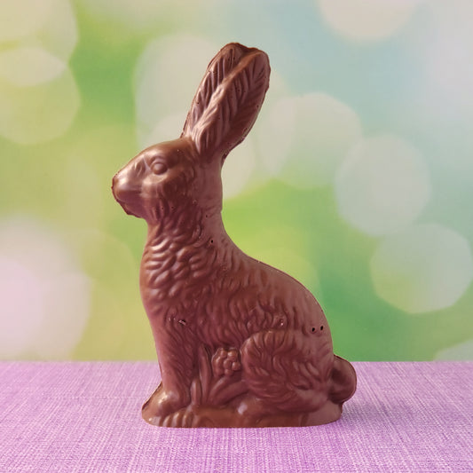 Extra large solid milk chocolate bunny