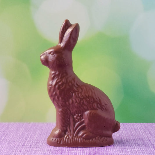 Medium solid milk chocolate bunny