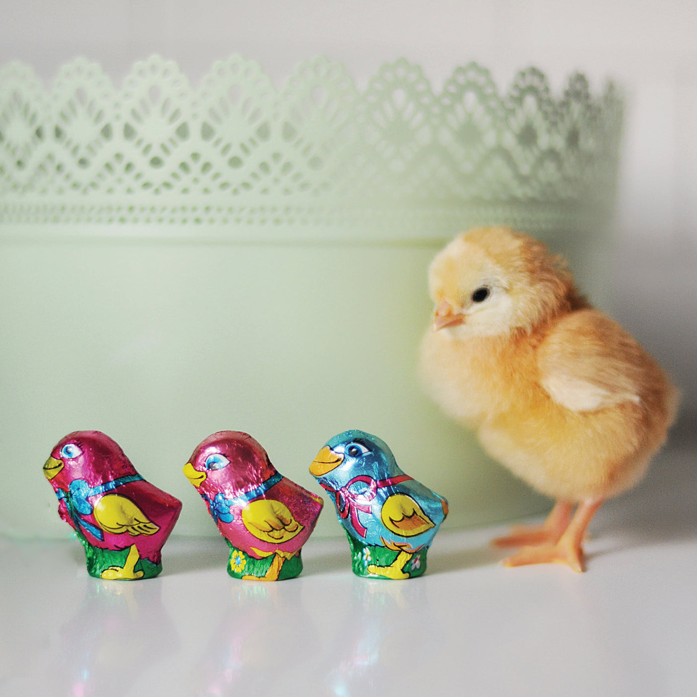 Milk chocolate foiled Easter chicks