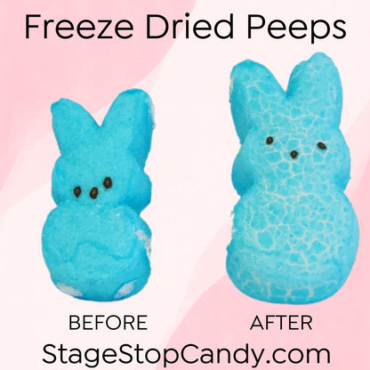 A before and after image of a freeze dried peep and a regular marshmallow peep