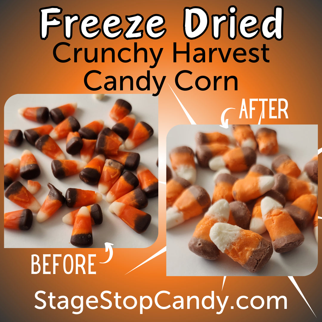 See the difference when you freeze dry candy corn. 
