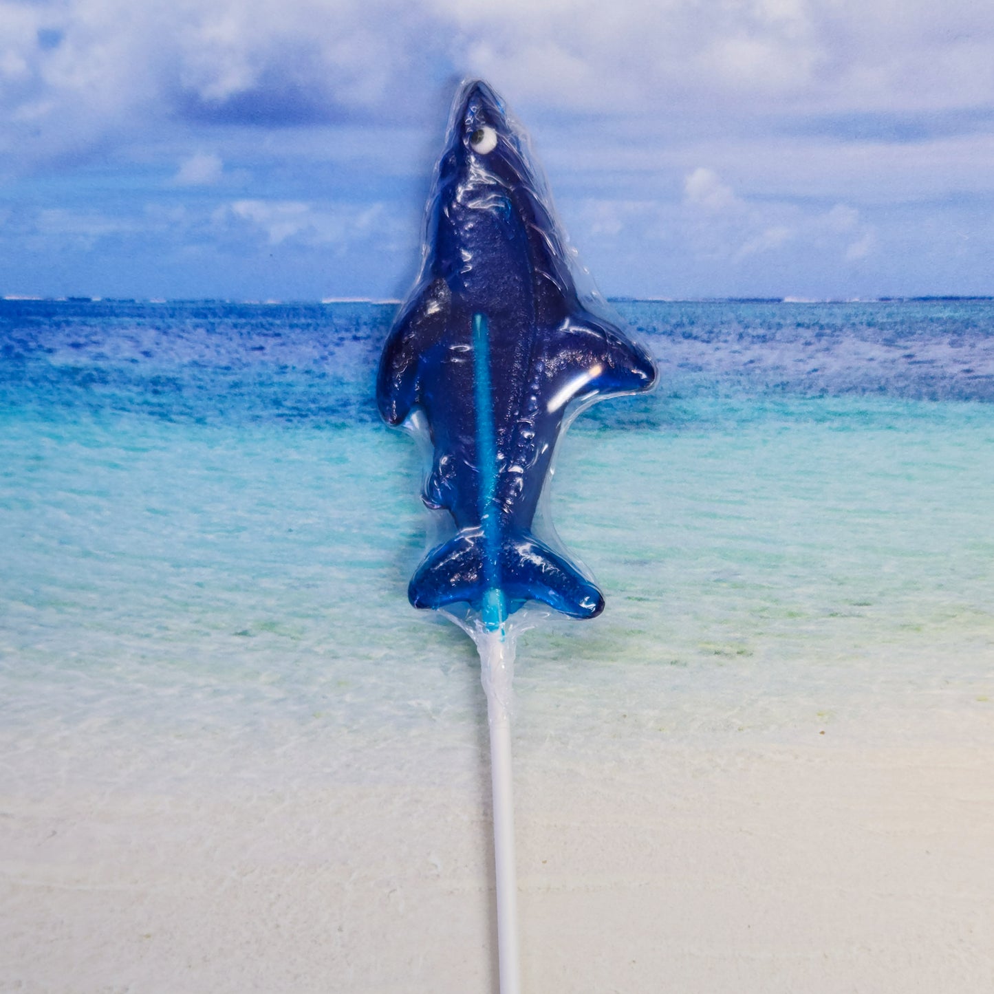 Blue Raspberry Flavored Pop. This hard candy lollipop is in the shape of a shark.