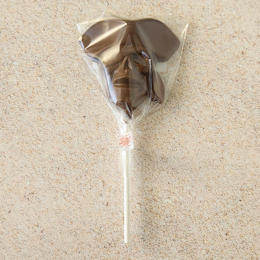 Chocolate Pirate