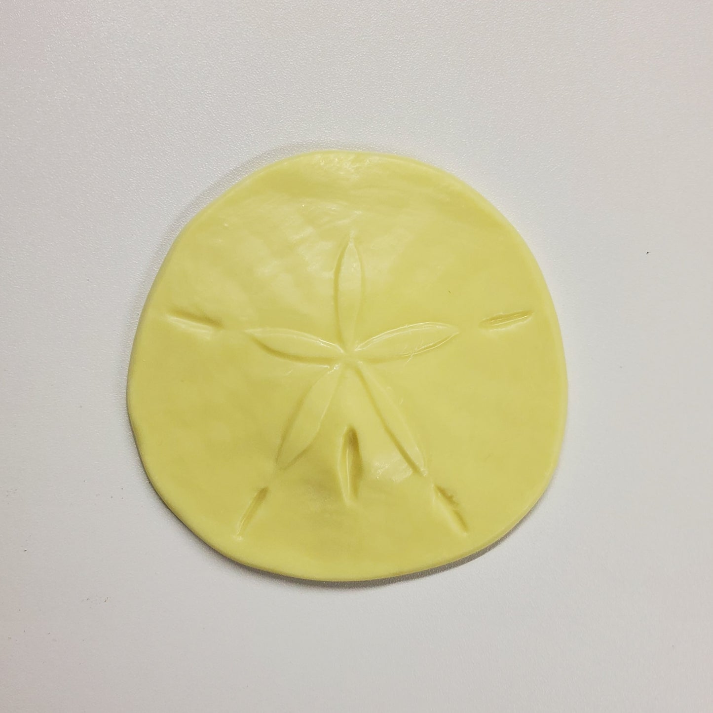 White Chocolate Sand Dollar