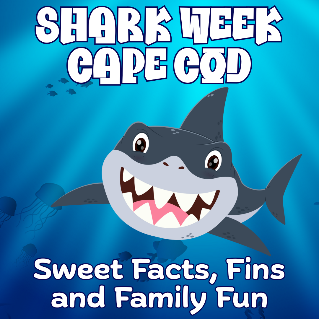 Cute cartoon shark for Shark Week on Cape Cod from Stage Stop Candy's blog