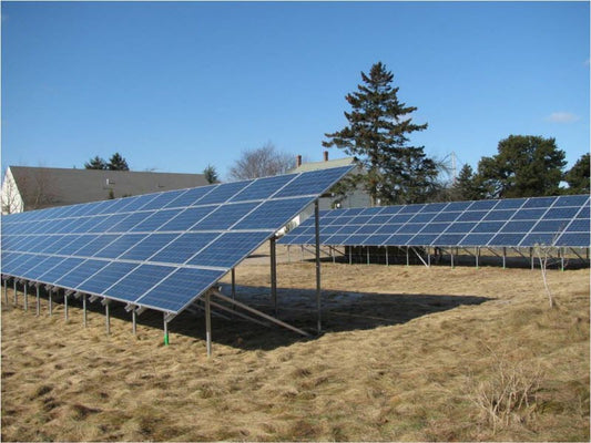 Go Green, Eat Sweet!