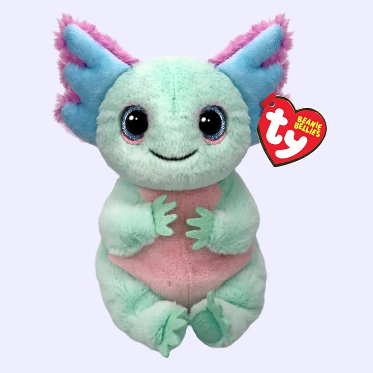 Meet Alex the axolotl.  Ty Beanie Bellies plush stuffed animal