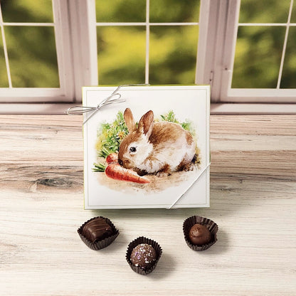 Bunny in Garden Themed Box with Popular Assortment