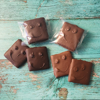 A Graham Cracker covered in either Milk chocolate or Dark chocolate.