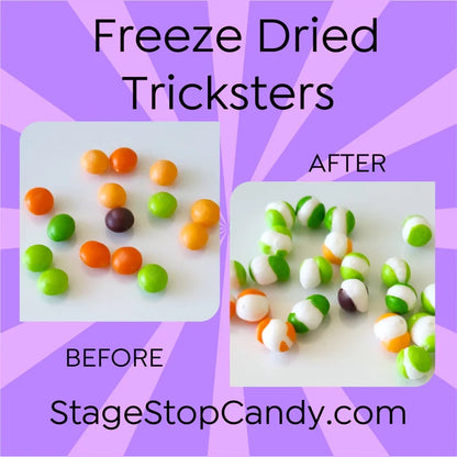 Freeze Dried Tricksters before and after.