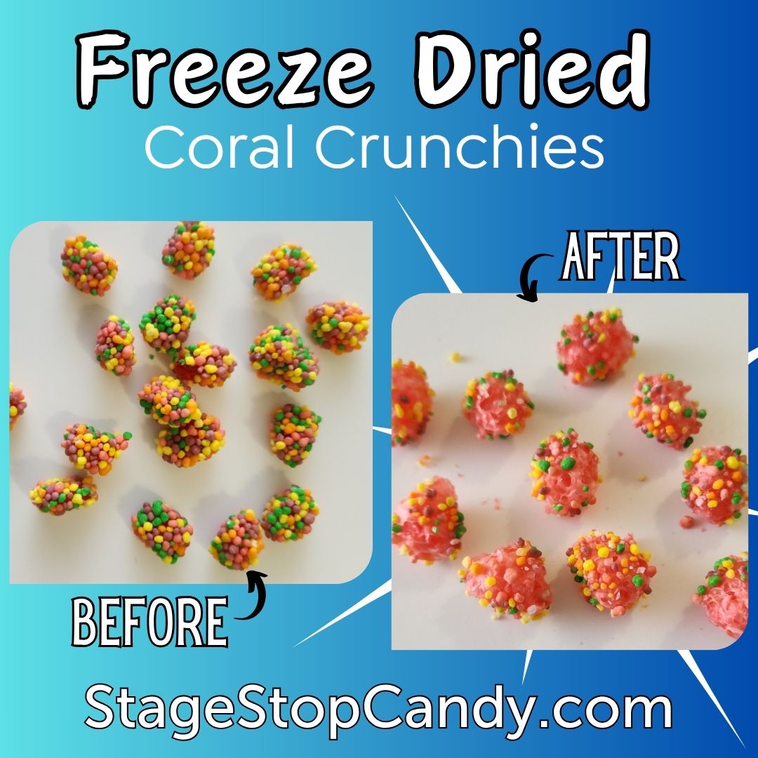Before and after comparison graphic for freeze dried coral crunches. The left 'BEFORE' panel shows small pinkish-red candy balls coated with multicolored sprinkles on a white background.