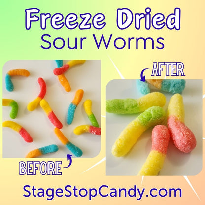 See the difference that happens when you freeze dry sour gummy worms. They grow in size and become a crispy flavorful treat!