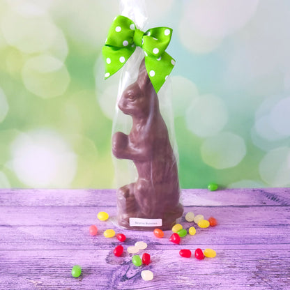 Beanie Bunny (3D Chocolate Bunny Filled with Jelly Beans) ****In-Store Pick Up Only!!!***