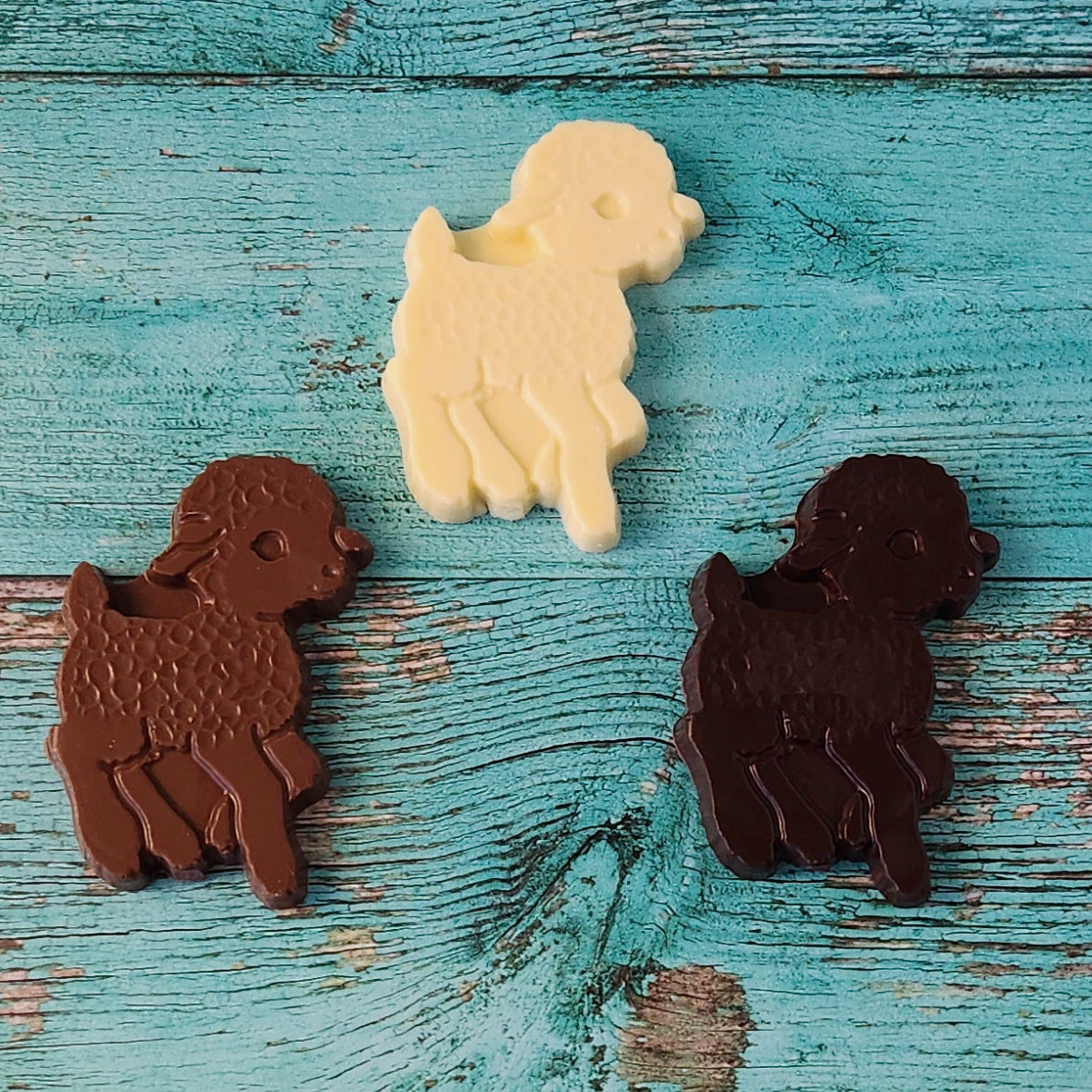 3 different types of chocolate lambs on a blue background