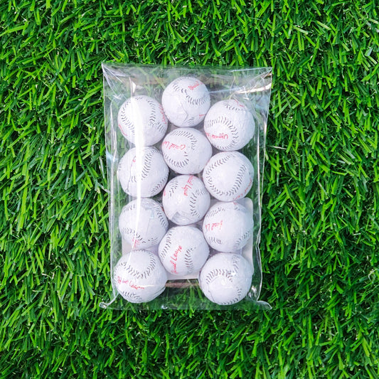 milk chocolate foiled baseballs
12 count bag