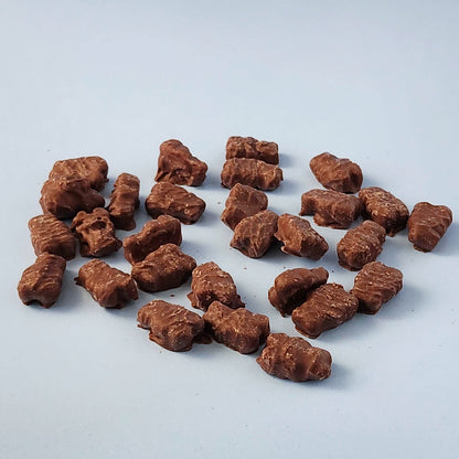 Chocolate Covered Gummi Bears