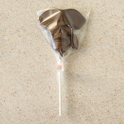 Chocolate Pirate