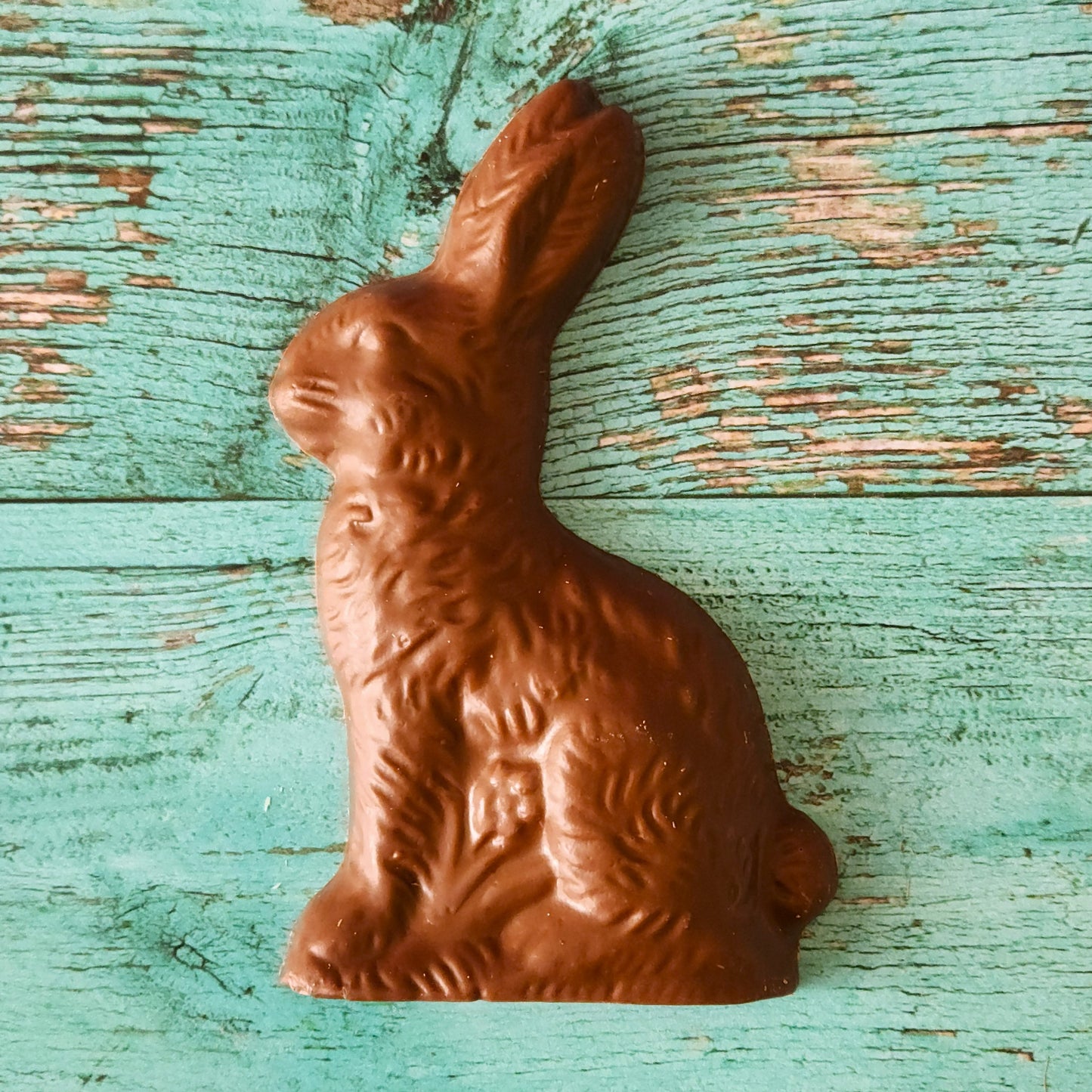 Chocolate Sitting Bunny Favor