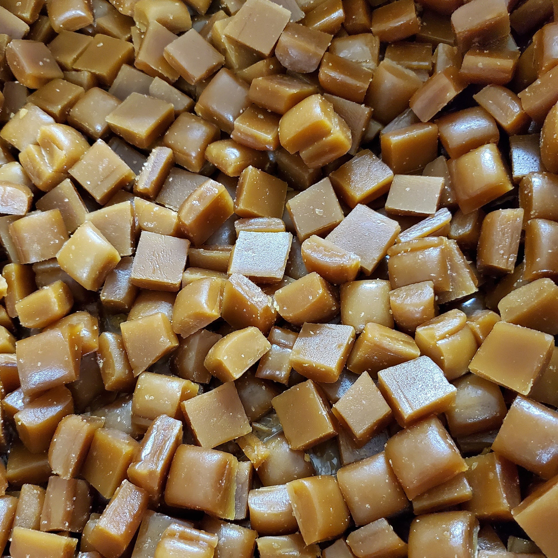 Closeup of Butterscotch Squares
