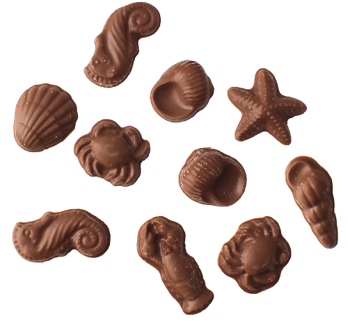 Vermont Nut Free Assorted Seashell Chocolates