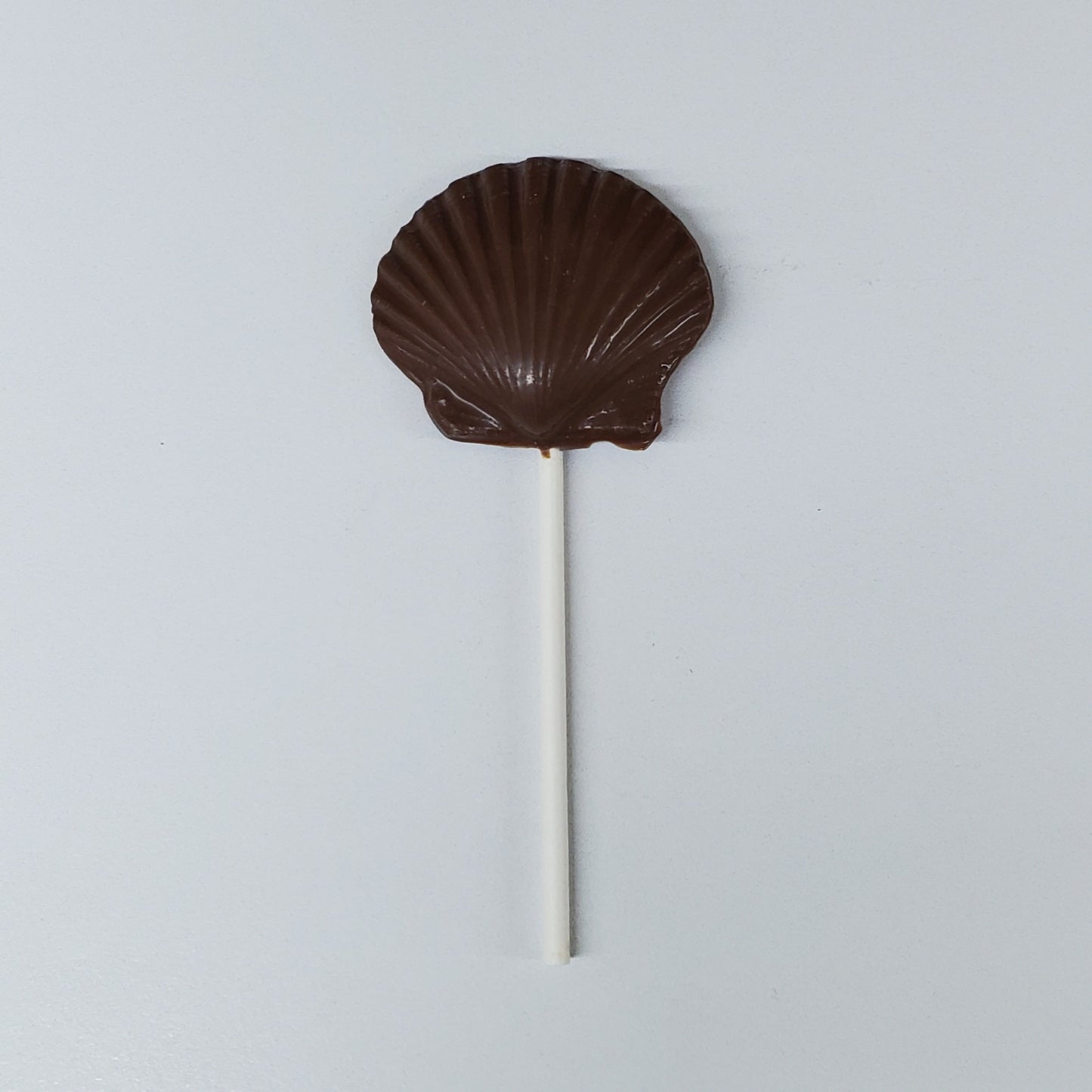 Milk Chocolate Shaped Scallop Shell Pop