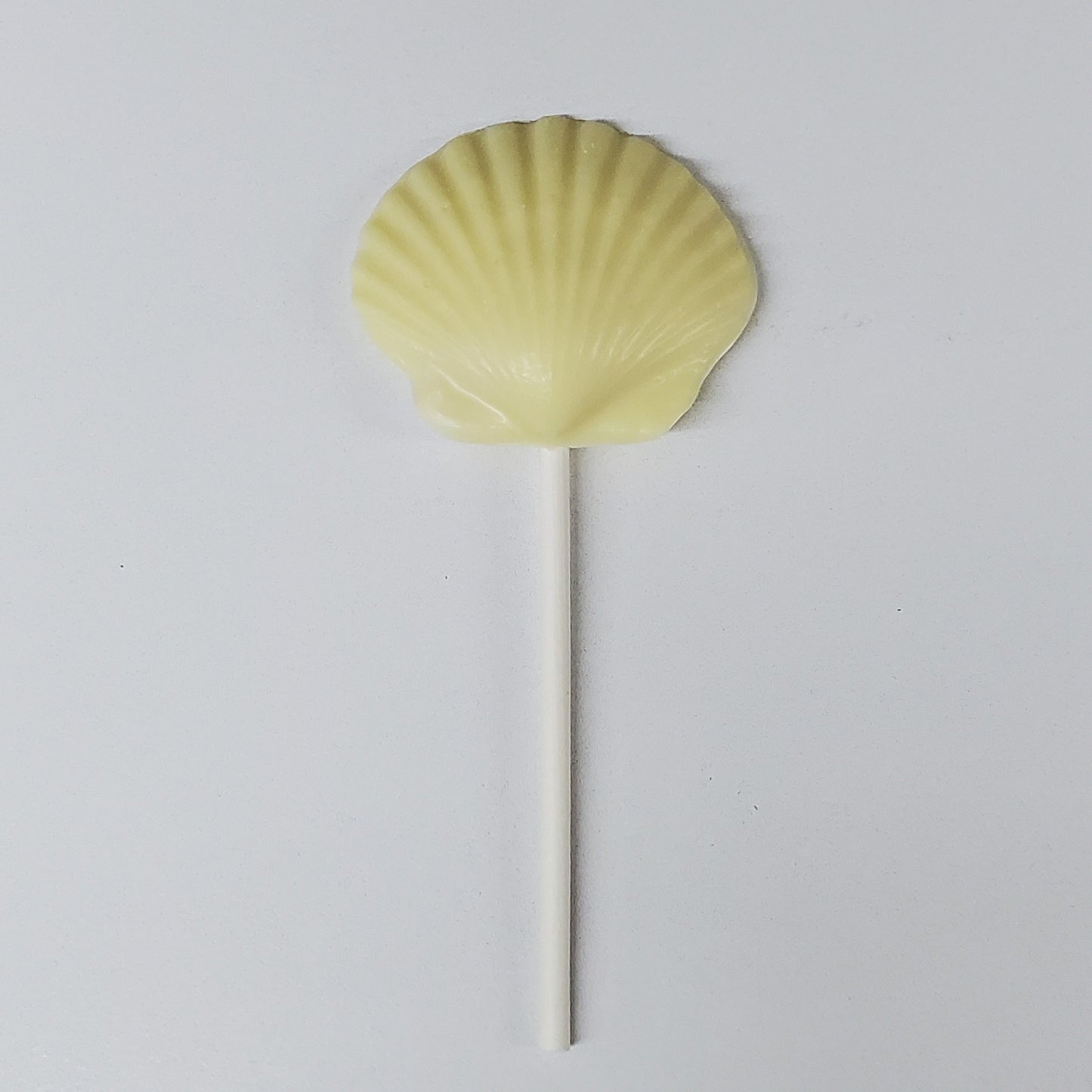 White Chocolate Shaped Scallop Shell Pop