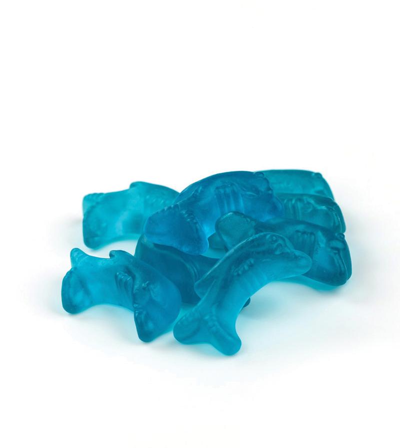 Blue Gummy Dolphins